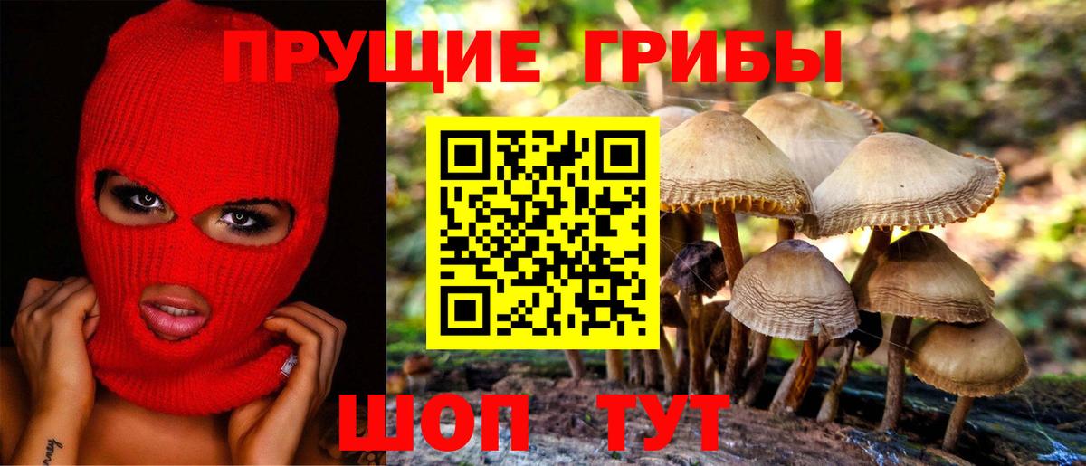 Галлюциногенные грибы MAGIC MUSHROOMS Мурманск
